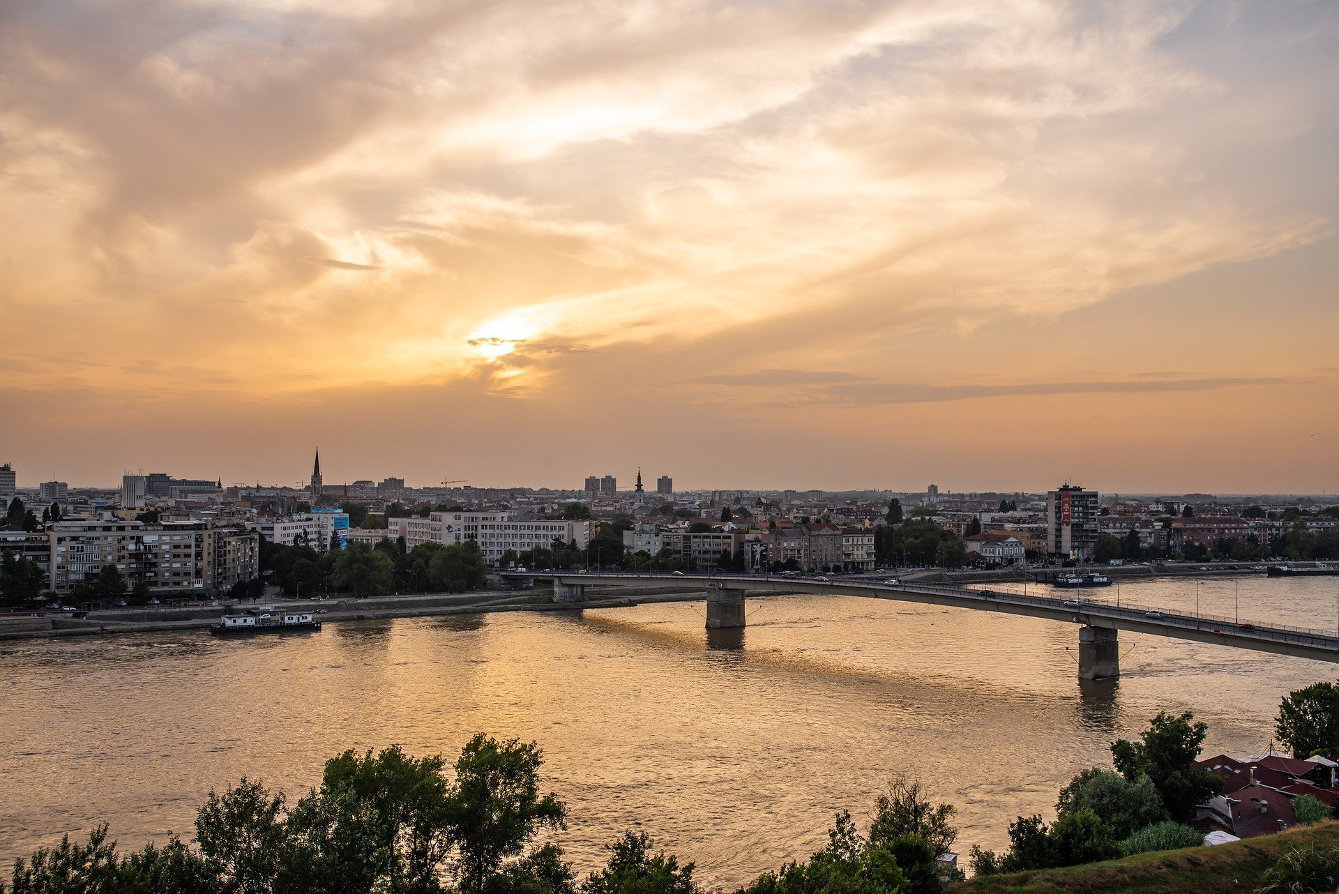 profesionalni upravnik novi sad